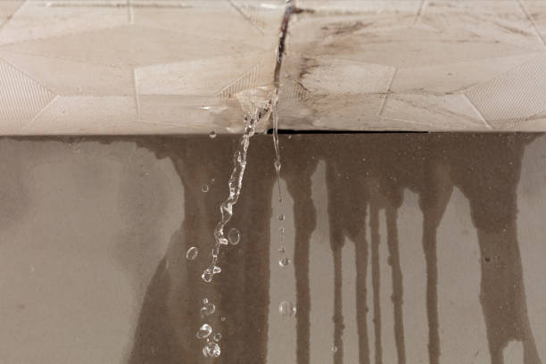 Professional Structural Drying technician working in Flemington, PA
